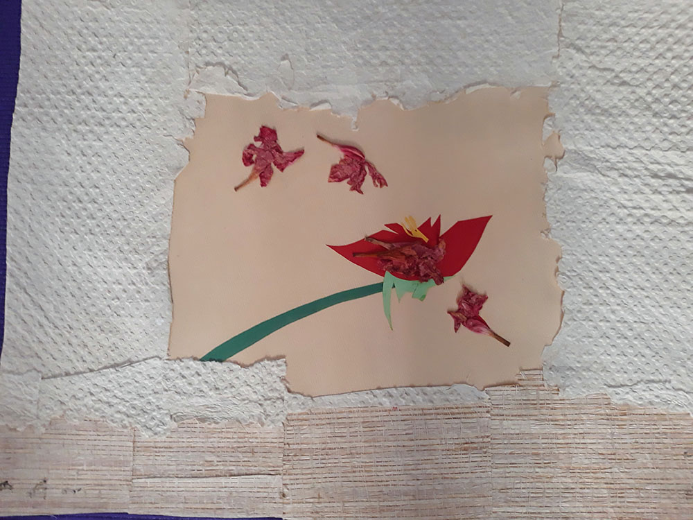 Flower Breaks Thru Sidewalk