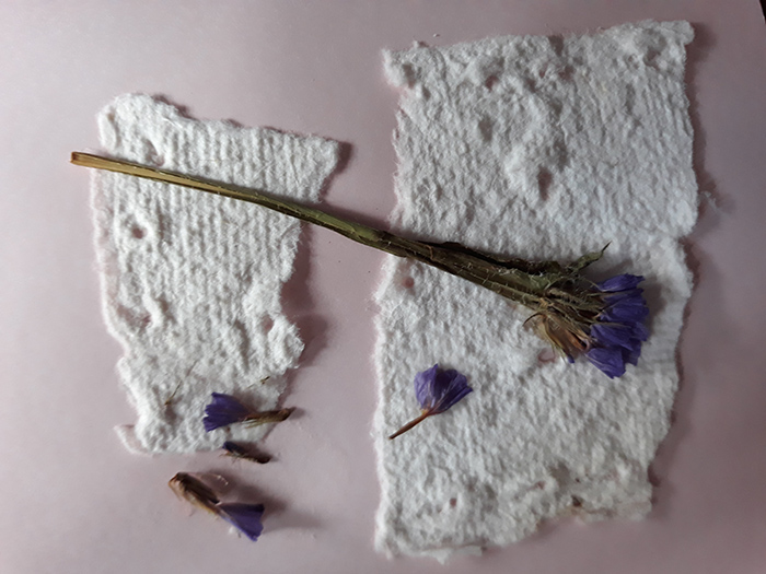 Byways and Flowers